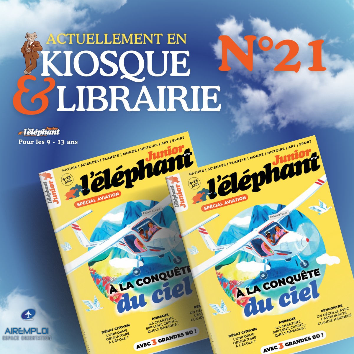 airemploi_elephant