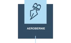Aerobernie logo